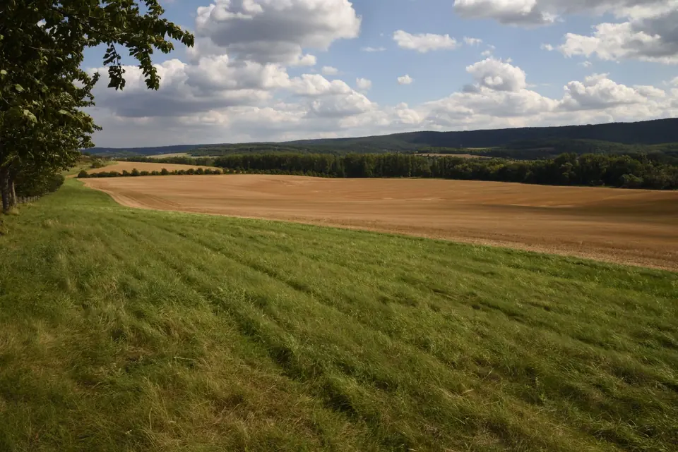 Umfangreiche Ansicht von landwirtschaftlichen Feldern und üppigem Grün unter einem teilweise bewölkten Himmel in Thale, Deutschland.